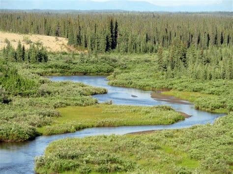 Complete Guide to Visiting Alaska’s Remote Kobuk Valley。